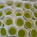 トクライ's cooksnap of when they made 豆腐 de 抹茶生チョコ.