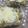 とろままちゃん's cooksnap of when they made 具をいっしょに炒めて簡単マカロニグラタン.
