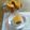 さやまめ☆'s cooksnap of when they made ２１㎝型シフォンケーキ（キャロット）.