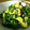 柴犬かい's cooksnap of when they made 菜の花のとろりん♡たまご炒め.