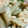 熊人すみこ's cooksnap of when they made ひき肉とごぼうの梅みそ炒め.