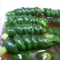 myatthi's cooksnap of when they made お暇なら巻いてみる?　意外と楽しいよぉ♡.