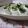 えみんちゅ＊'s cooksnap of when they made ハンペンクルクル…辛子マヨ.