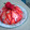 ame-ikuru's cooksnap of when they made 。゜いちごの丘゜.。ヨーグルトムースⅡ　.