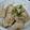 kikurage's cooksnap of when they made 鶏むね肉の醤油炒め☆柚子胡椒風味.