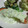 ＴＯＭＯＷＡＴ's cooksnap of when they made ネギ好きのための鮭のムニエル♪.