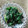 machi★mama's cooksnap of when they made ほうれん草の黒ごま味噌和え.