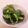 みくりゅうせいママ's cooksnap of when they made きゅっ♪きゅっ♪きゅ～っ♪.