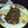 ぴろもこ's cooksnap of when they made カレーの残りで♡きゃべオムレツonカレー.
