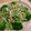 rapita's cooksnap of when they made 鶏ささみと香味野菜のマヨわさびサラダ♪.