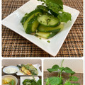 horseland's cooksnap of when they made きゅうりのシソの実漬け.