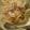 comatan☆'s cooksnap of when they made カキとバジルのパスタ.