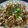はなはなリっこ's cooksnap of when they made 豆腐と白菜でお好み焼き☆.
