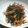 himadek's cooksnap of when they made きざみあらめ&人参のナンプラー炒め.