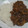 マユみかん's cooksnap of when they made すりおろしりんごのカレーライス.