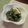 時花菜's cooksnap of when they made 春菊のレモンごま醤油和え✿.