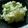 maruru-nn's cooksnap of when they made 『蓮根と豆のサラダ』.