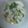 少年ナイフ's cooksnap of when they made 新たまねぎがもりもり食べられる簡単マリネ.