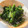 きらり流れ星's cooksnap of when they made おばあちゃんの工夫。ほうれん草のごま和え.