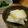 MEGuREEN's cooksnap of when they made 美味しい！大根の酢漬け☆.