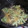 またたんよん's cooksnap of when they made 簡単　唐揚げの後にぜひかき揚げを！！.