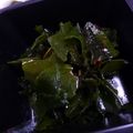 ミッキーアン's cooksnap of when they made ヘルシー♪低カロ♪キムチの素でワカメ和え.