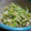 ＨＡＲＵ。。。's cooksnap of when they made 我が家の簡単！ねぎ塩ダレ.