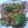 SILK0205's cooksnap of when they made あらっ簡単！ラム肉のおろし玉ねぎ炒め.