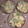 creamcrepe's cooksnap of when they made バナナとアボカドほんだしマヨネーズ和え.