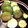 tomokoshiawase's cooksnap of when they made 簡単きゅうりのわさび漬け.