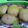 ぐうすか's cooksnap of when they made シンプルに味わう☆栗の甘煮♪.