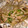 cotori119's cooksnap of when they made 我が家の定番★鮭のホイル焼★.