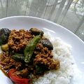 sotomayor's cooksnap of when they made 夏野菜と鶏挽肉のカレー.