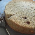 ♪しゅん's cooksnap of when they made 塩麹さん　de　黒糖・米粉シフォンケーキ.