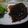 モネコ's cooksnap of when they made 絶品☆和風ハンバーグ☆.