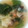 マナブレスト's cooksnap of when they made 簡単！じゃが芋とにんにくのスープ.