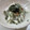 あっこ姉's cooksnap of when they made 長芋ととんぶりの梅肉和え.