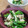 母ちゃん☆'s cooksnap of when they made 杏なあさりとわけぎのぬた.