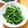 67ice's cooksnap of when they made 好きな青菜で洋風おひたし.
