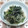 haruiroもも's cooksnap of when they made もやしとほうれん草のごまあえ.