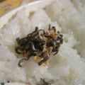 あひるの娘's cooksnap of when they made おにぎりの具☆マヨおか昆布.