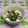 まこさんど's cooksnap of when they made さっぱり♫豆腐もずく納豆〜！！.
