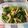 みぃのまま×3's cooksnap of when they made 小松菜と油揚げの胡麻炒め.
