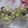 miyuki12's cooksnap of when they made 黒豆Ｂ．Ｐ．Ｔマフィンサンド.