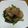 tomayan's cooksnap of when they made 大根と鶏のこってり中華煮.