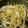 Risoa 51's cooksnap of when they made もやしのごま風味！ピリ辛炒め.