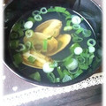 REI_MAM's cooksnap of when they made あさりと白だしのお吸い物.