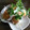 tsohmionko's cooksnap of when they made 竹輪のかいわれクルクル巻き♪梅マヨソース.