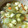 チナイチン's cooksnap of when they made 懐かしの味★白菜と鶏だんごのスープ.