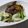 えみんちゅ＊'s cooksnap of when they made キャベツと豚肉のにんにくバターいため.